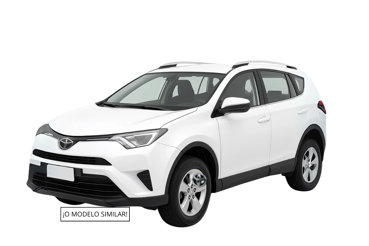 rav blanca manual